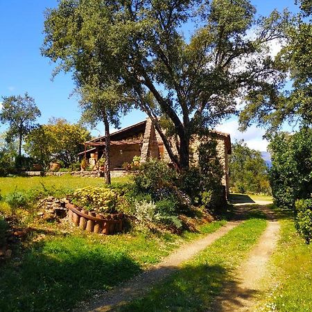 La Simona Casa Rural Perales del Puerto Ngoại thất bức ảnh