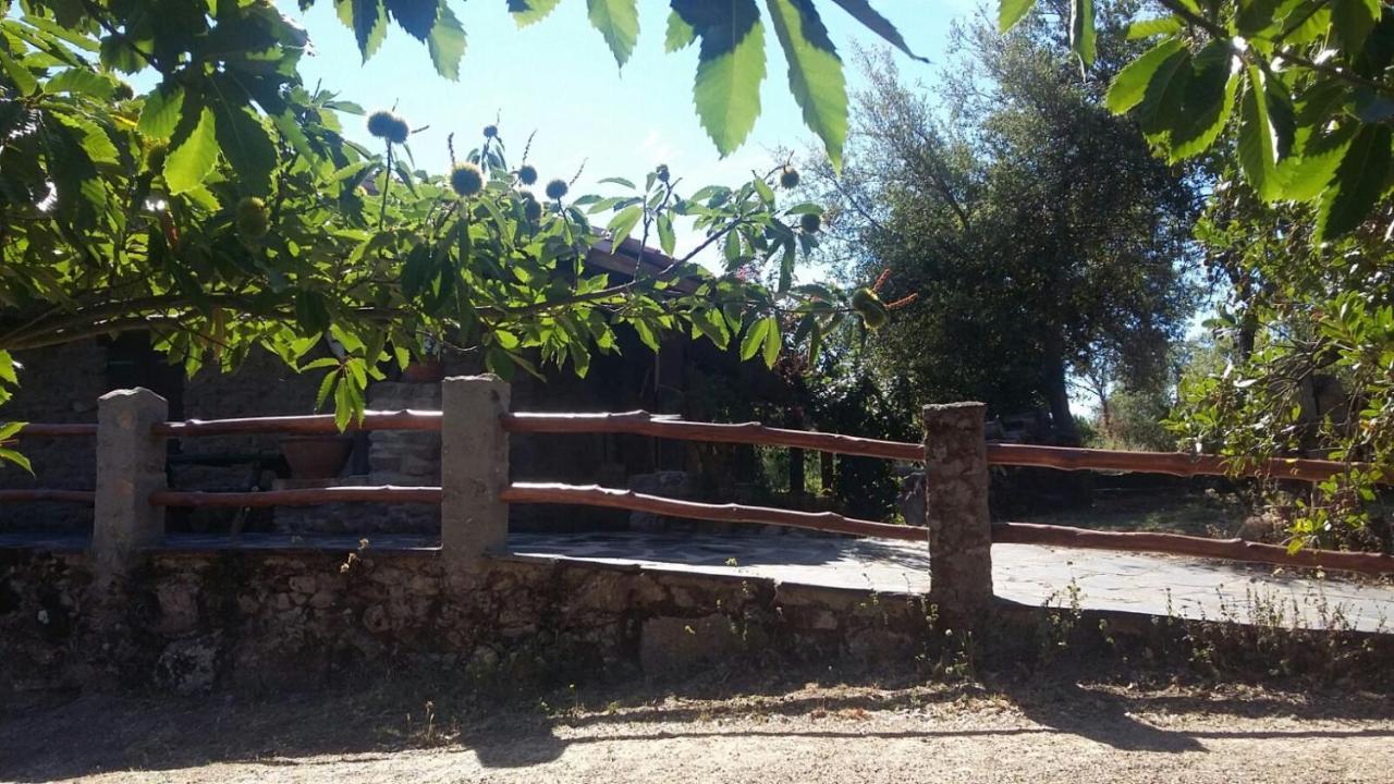 La Simona Casa Rural Perales del Puerto Ngoại thất bức ảnh