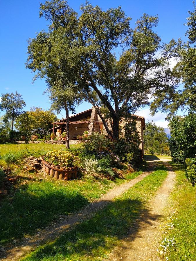 La Simona Casa Rural Perales del Puerto Ngoại thất bức ảnh