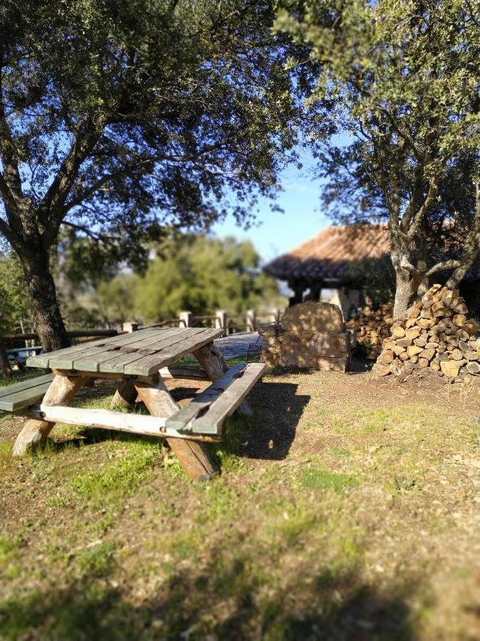 La Simona Casa Rural Perales del Puerto Ngoại thất bức ảnh
